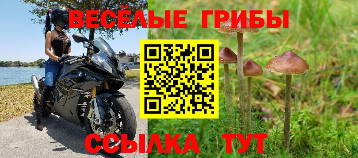 Бугульма  Галлюциногенные грибы Magic Shrooms  Вход с VPN 