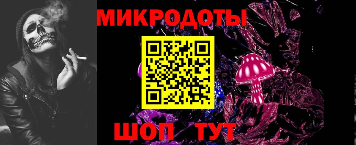 Псилоцибиновые грибы Psilocybe Бугульма